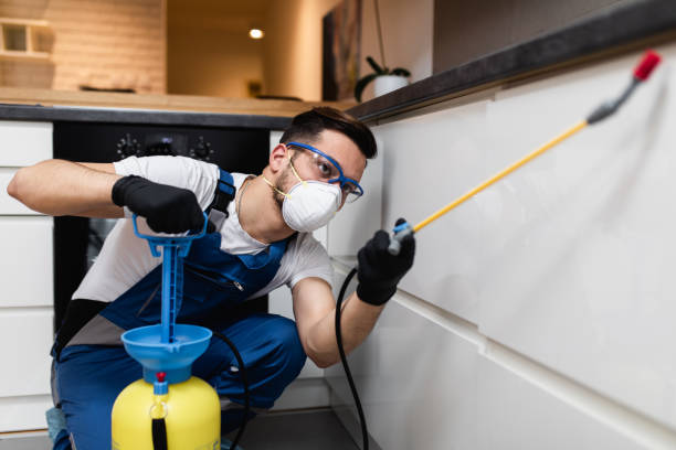 Best Pest Control for Homes  in Blue Bell, PA